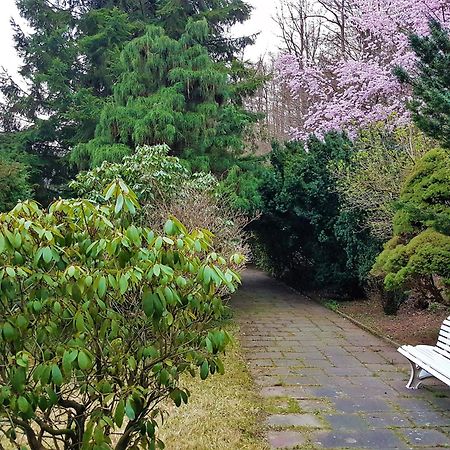 Siegerland-Hotel Freudenberg  Eksteriør billede