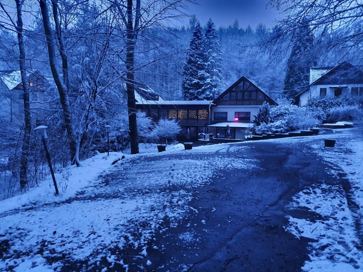 Siegerland-Hotel Freudenberg  Eksteriør billede